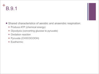 +
    B.9.1

       Shared characteristics of aerobic and anaerobic respiration:
           Produce ATP (chemical energy)
           Glycolysis (converting glucose to pyruvate)
           Oxidation reaction
           Pyruvate (CH3COCOOH)
           Exothermic
 