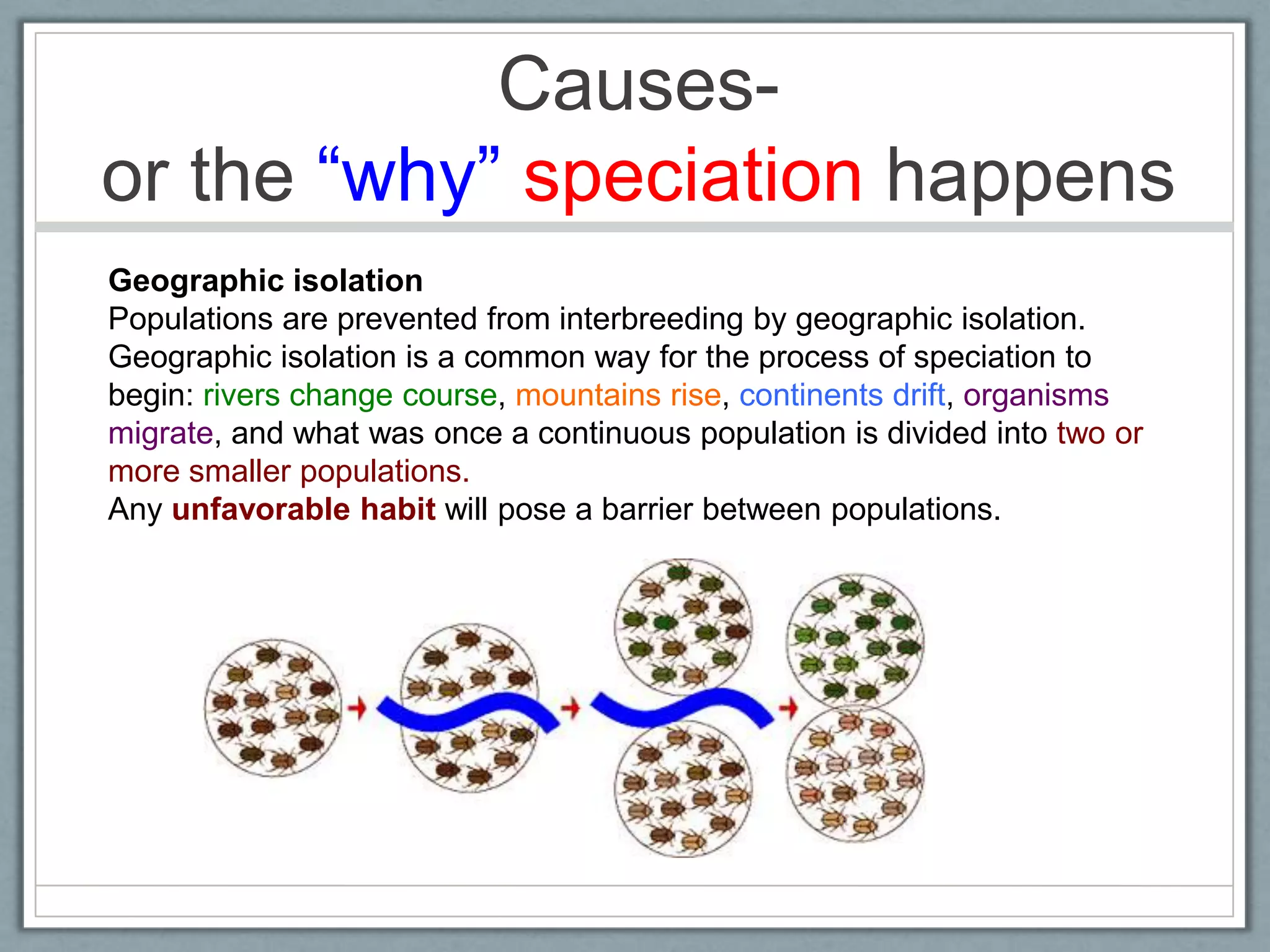 Causes-
or the ―why‖ speciation happens
Geographic isolation
Populations are prevented from interbreeding by geographic isolation.
Geographic isolation is a common way for the process of speciation to
begin: rivers change course, mountains rise, continents drift, organisms
migrate, and what was once a continuous population is divided into two or
more smaller populations.
Any unfavorable habit will pose a barrier between populations.
 