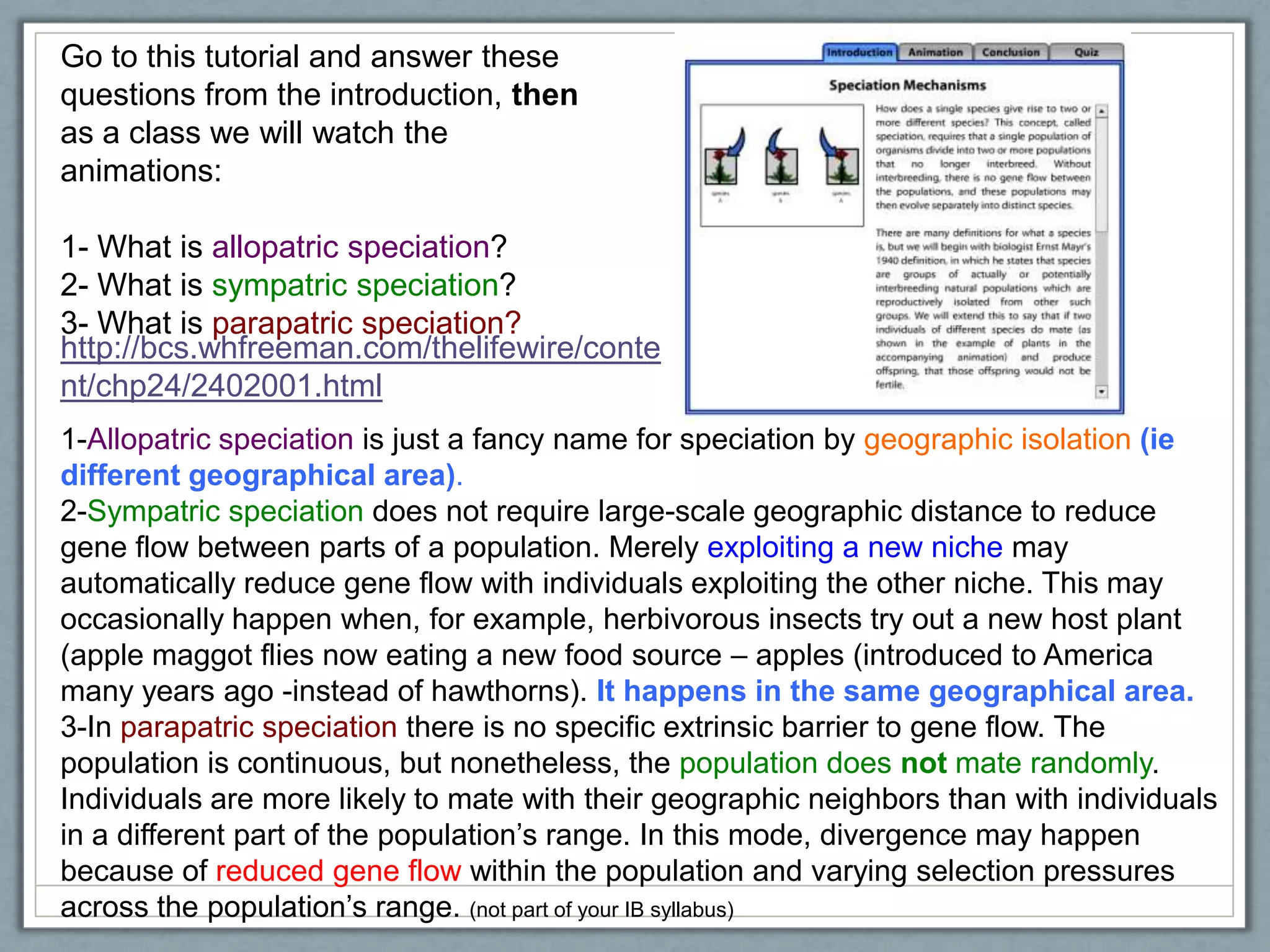 Go to this tutorial and answer these
questions from the introduction, then
as a class we will watch the
animations:
1- What is allopatric speciation?
2- What is sympatric speciation?
3- What is parapatric speciation?
1-Allopatric speciation is just a fancy name for speciation by geographic isolation (ie
different geographical area).
2-Sympatric speciation does not require large-scale geographic distance to reduce
gene flow between parts of a population. Merely exploiting a new niche may
automatically reduce gene flow with individuals exploiting the other niche. This may
occasionally happen when, for example, herbivorous insects try out a new host plant
(apple maggot flies now eating a new food source – apples (introduced to America
many years ago -instead of hawthorns). It happens in the same geographical area.
3-In parapatric speciation there is no specific extrinsic barrier to gene flow. The
population is continuous, but nonetheless, the population does not mate randomly.
Individuals are more likely to mate with their geographic neighbors than with individuals
in a different part of the population‘s range. In this mode, divergence may happen
because of reduced gene flow within the population and varying selection pressures
across the population‘s range. (not part of your IB syllabus)
http://bcs.whfreeman.com/thelifewire/conte
nt/chp24/2402001.html
 