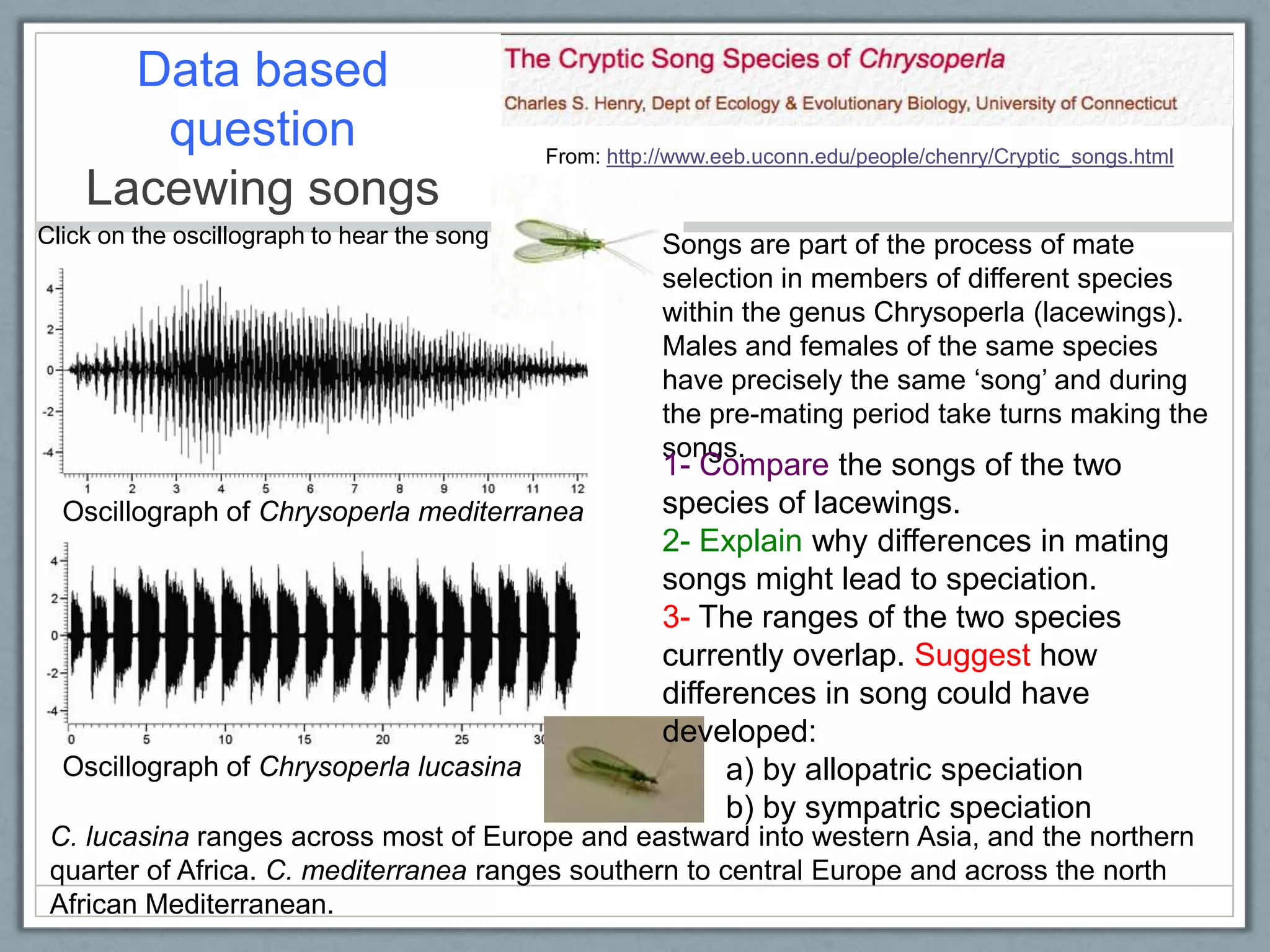 Data based
question
Lacewing songs
Click on the oscillograph to hear the song
Oscillograph of Chrysoperla mediterranea
Oscillograph of Chrysoperla lucasina
From: http://www.eeb.uconn.edu/people/chenry/Cryptic_songs.html
Songs are part of the process of mate
selection in members of different species
within the genus Chrysoperla (lacewings).
Males and females of the same species
have precisely the same ‗song‘ and during
the pre-mating period take turns making the
songs.
1- Compare the songs of the two
species of lacewings.
2- Explain why differences in mating
songs might lead to speciation.
3- The ranges of the two species
currently overlap. Suggest how
differences in song could have
developed:
a) by allopatric speciation
b) by sympatric speciation
C. lucasina ranges across most of Europe and eastward into western Asia, and the northern
quarter of Africa. C. mediterranea ranges southern to central Europe and across the north
African Mediterranean.
 