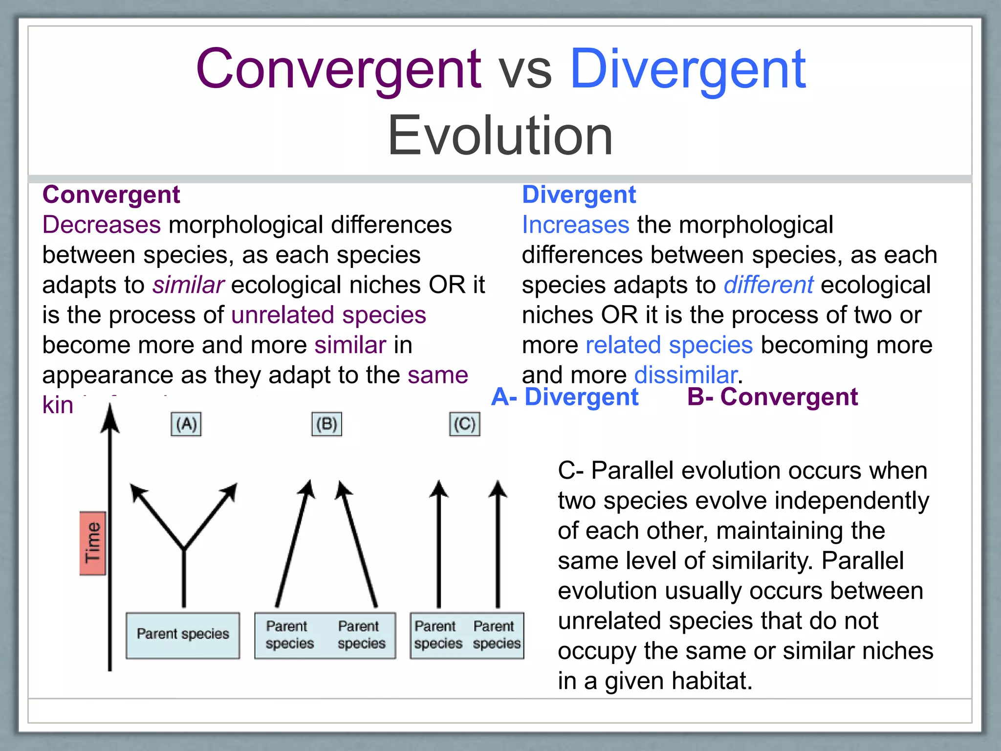 Convergent vs Divergent
Evolution
Divergent
Increases the morphological
differences between species, as each
species adapts to different ecological
niches OR it is the process of two or
more related species becoming more
and more dissimilar.
Convergent
Decreases morphological differences
between species, as each species
adapts to similar ecological niches OR it
is the process of unrelated species
become more and more similar in
appearance as they adapt to the same
kind of environment. A- Divergent B- Convergent
C- Parallel evolution occurs when
two species evolve independently
of each other, maintaining the
same level of similarity. Parallel
evolution usually occurs between
unrelated species that do not
occupy the same or similar niches
in a given habitat.
 
