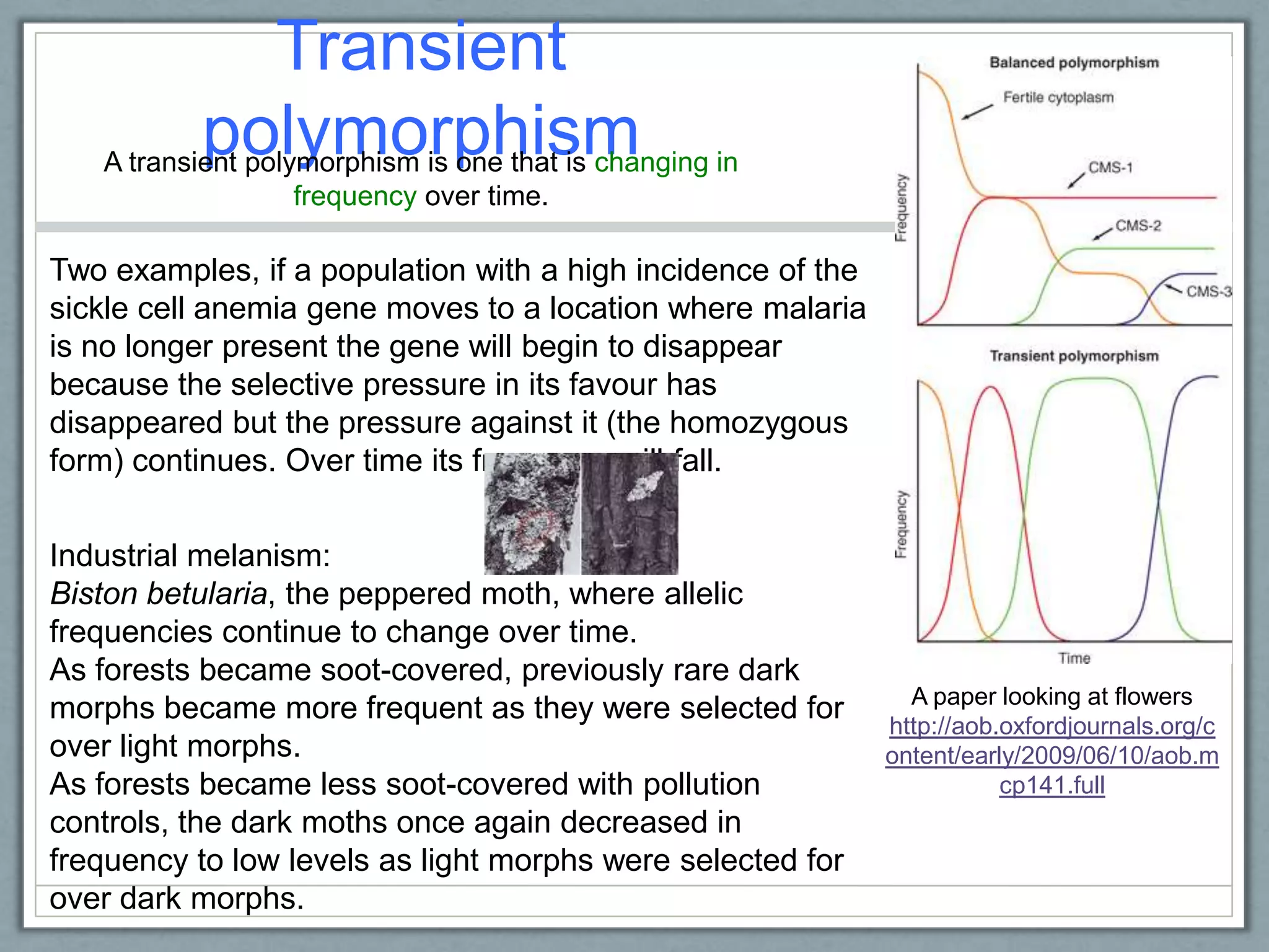 Transient
polymorphismA transient polymorphism is one that is changing in
frequency over time.
Two examples, if a population with a high incidence of the
sickle cell anemia gene moves to a location where malaria
is no longer present the gene will begin to disappear
because the selective pressure in its favour has
disappeared but the pressure against it (the homozygous
form) continues. Over time its frequency will fall.
A paper looking at flowers
http://aob.oxfordjournals.org/c
ontent/early/2009/06/10/aob.m
cp141.full
Industrial melanism:
Biston betularia, the peppered moth, where allelic
frequencies continue to change over time.
As forests became soot-covered, previously rare dark
morphs became more frequent as they were selected for
over light morphs.
As forests became less soot-covered with pollution
controls, the dark moths once again decreased in
frequency to low levels as light morphs were selected for
over dark morphs.
 