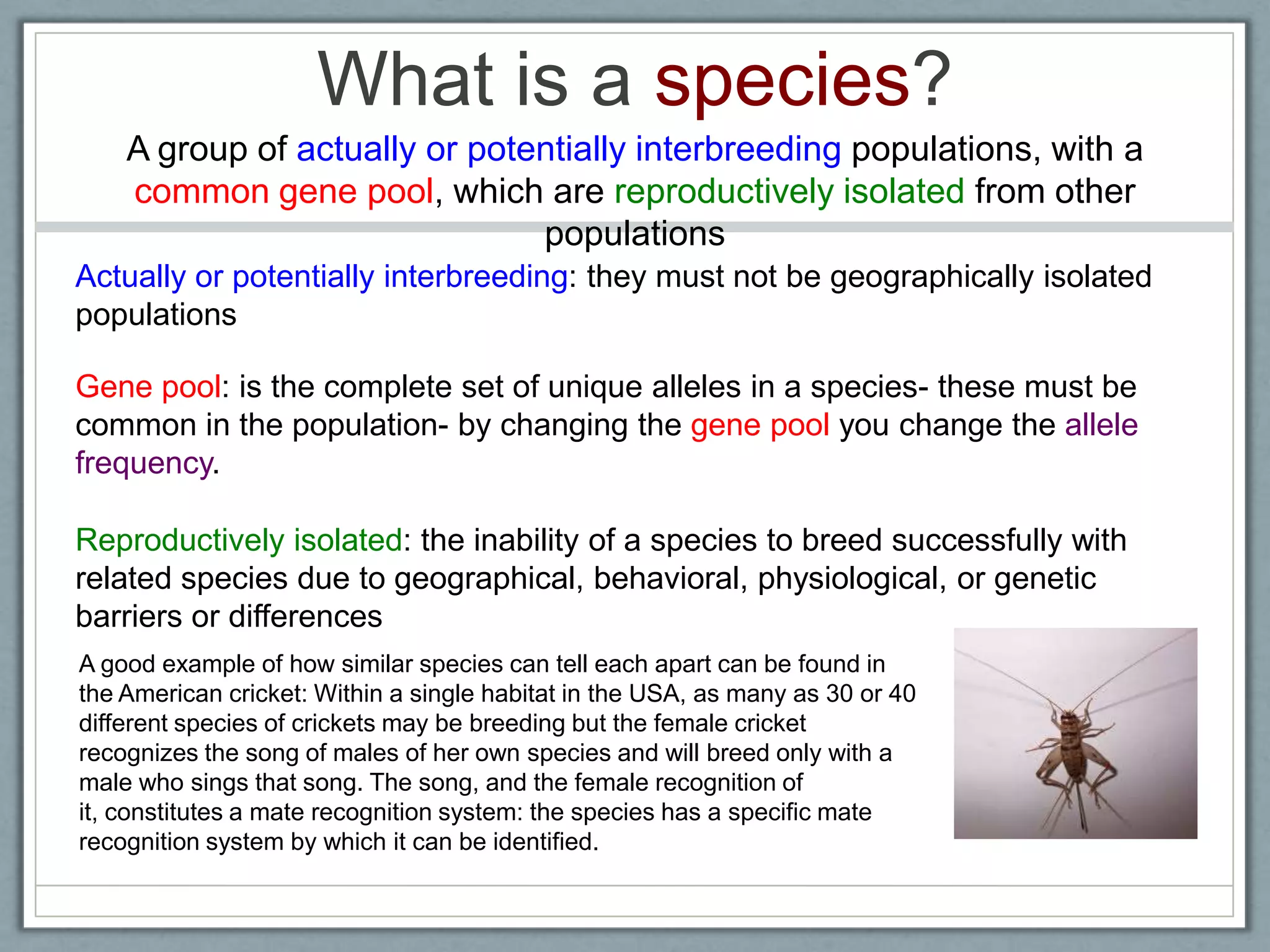 What is a species?
A group of actually or potentially interbreeding populations, with a
common gene pool, which are reproductively isolated from other
populations
A good example of how similar species can tell each apart can be found in
the American cricket: Within a single habitat in the USA, as many as 30 or 40
different species of crickets may be breeding but the female cricket
recognizes the song of males of her own species and will breed only with a
male who sings that song. The song, and the female recognition of
it, constitutes a mate recognition system: the species has a specific mate
recognition system by which it can be identified.
Actually or potentially interbreeding: they must not be geographically isolated
populations
Gene pool: is the complete set of unique alleles in a species- these must be
common in the population- by changing the gene pool you change the allele
frequency.
Reproductively isolated: the inability of a species to breed successfully with
related species due to geographical, behavioral, physiological, or genetic
barriers or differences
 