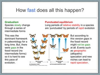 D2 species and speciation | PPTX