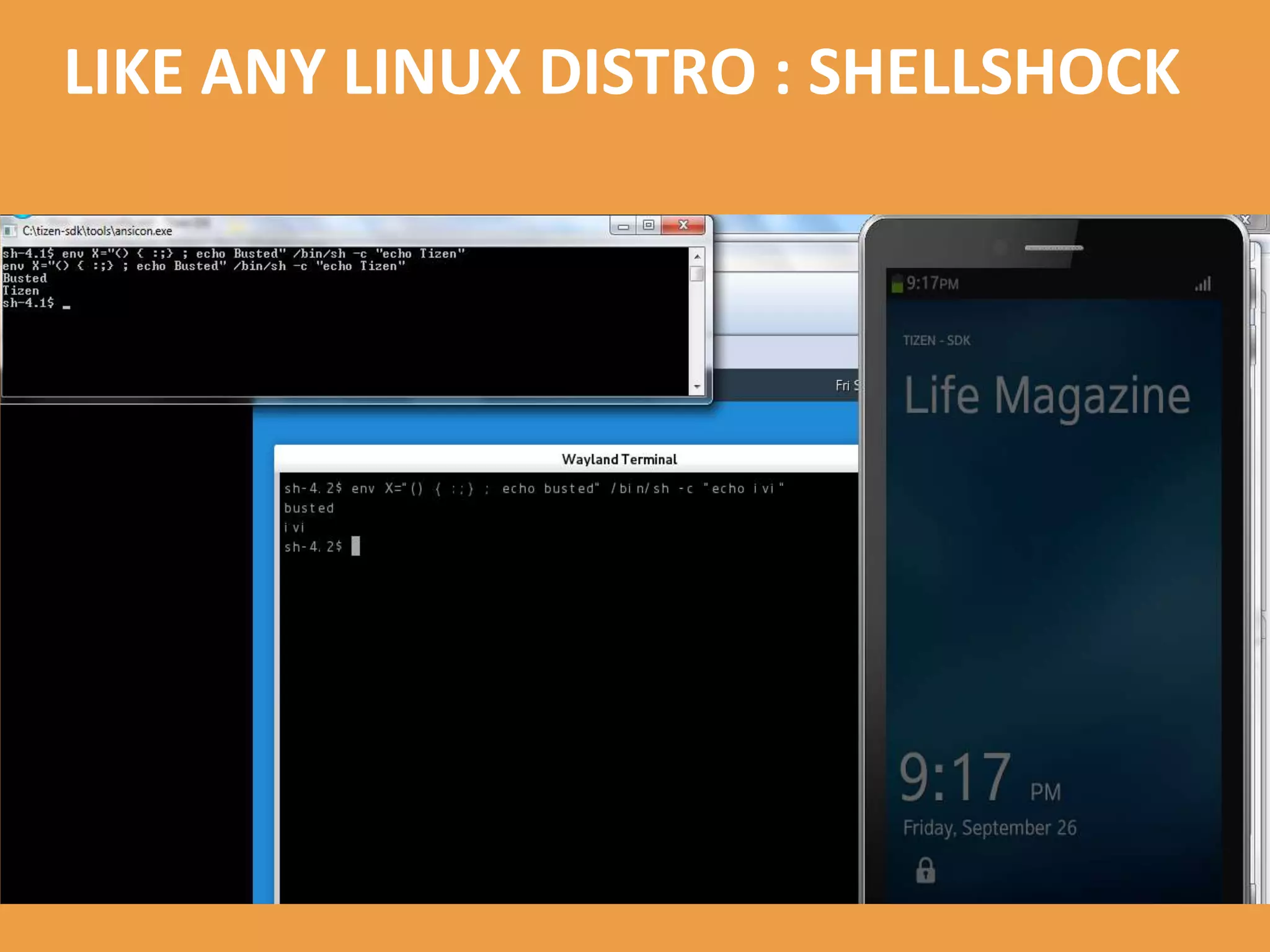 LIKE ANY LINUX DISTRO : SHELLSHOCK
 