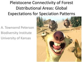 Pleistocene Connectivity of Forest
Distributional Areas: Global
Expectations for Speciation Patterns
A. Townsend Peterson
Biodiversity Institute
University of Kansas
 