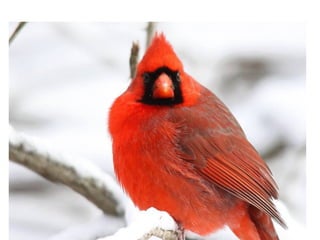 專業精神與自我成長  實踐大學-D3-2-詹翔霖教授