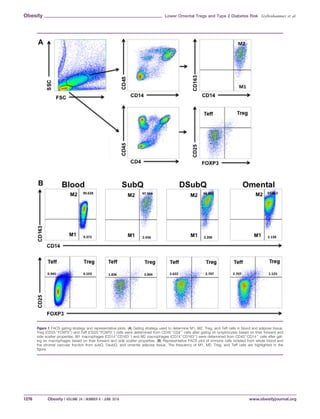 Figure 1 FACS gating strategy and representative plots. (A) Gating strategy used to determine M1, M2, Treg, and Teff cells in blood and adipose tissue.
Treg (CD251
FOXP31
) and Teff (CD251
FOXP32
) cells were determined from CD451
CD41
cells after gating on lymphocytes based on their forward and
side scatter properties. M1 macrophages (CD141
CD1632
) and M2 macrophages (CD141
CD1631
) were determined from CD451
CD141
cells after gat-
ing on macrophages based on their forward and side scatter properties. (B) Representative FACS plot of immune cells isolated from whole blood and
the stromal vascular fraction from subQ, DsubQ, and omental adipose tissue. The frequency of M1, M2, Treg, and Teff cells are highlighted in the
figure.
Obesity Lower Omental Tregs and Type 2 Diabetes Risk Gyllenhammer et al.
1276 Obesity | VOLUME 24 | NUMBER 6 | JUNE 2016 www.obesityjournal.org
 