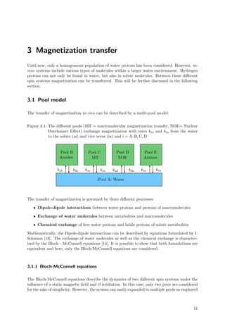 3 Magnetization transfer
Until now, only a homogeneous population of water protons has been considered. However, in-
vivo systems include various types of molecules within a larger water environment. Hydrogen
protons can not only be found in water, but also in solute molecules. Between these diﬀerent
spin systems magnetization can be transferred. This will be further discussed in the following
section.
3.1 Pool model
The transfer of magnetization in-vivo can be described by a multi-pool model:
Figure 3.1: The diﬀerent pools (MT = macromolecular magnetization transfer, NOE= Nuclear
Overhauser Eﬀect) exchange magnetization with rates kai and kia from the water
to the solute (ai) and vice versa (ia) and i = A, B, C, D
Pool A: Water
Pool B Pool C Pool D Pool E
kab kba kac kca kad kda kae kea
MTAmides NOE Amines
The transfer of magnetization is governed by three diﬀerent processes:
• Dipole-dipole interactions between water protons and protons of macromolecules
• Exchange of water molecules between metabolites and macromolecules
• Chemical exchange of free water protons and labile protons of solute metabolites
Mathematically, the Dipole-dipole interactions can be described by equations formulated by I.
Solomon [13]. The exchange of water molecules as well as the chemical exchange is character-
ized by the Bloch - McConnell equations [14]. It is possible to show that both formulations are
equivalent and here, only the Bloch-McConnell equations are considered.
3.1.1 Bloch-McConnell equations
The Bloch-McConnell equations describe the dynamics of two diﬀerent spin systems under the
inﬂuence of a static magnetic ﬁeld and rf irridiation. In this case, only two poos are considered
for the sake of simplicity. However, the system can easily expanded to multiple pools as employed
11
 