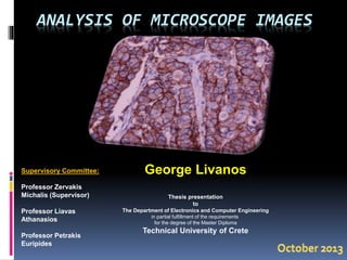 Analysis of microscope images_FINAL PRESENTATION | PPTX