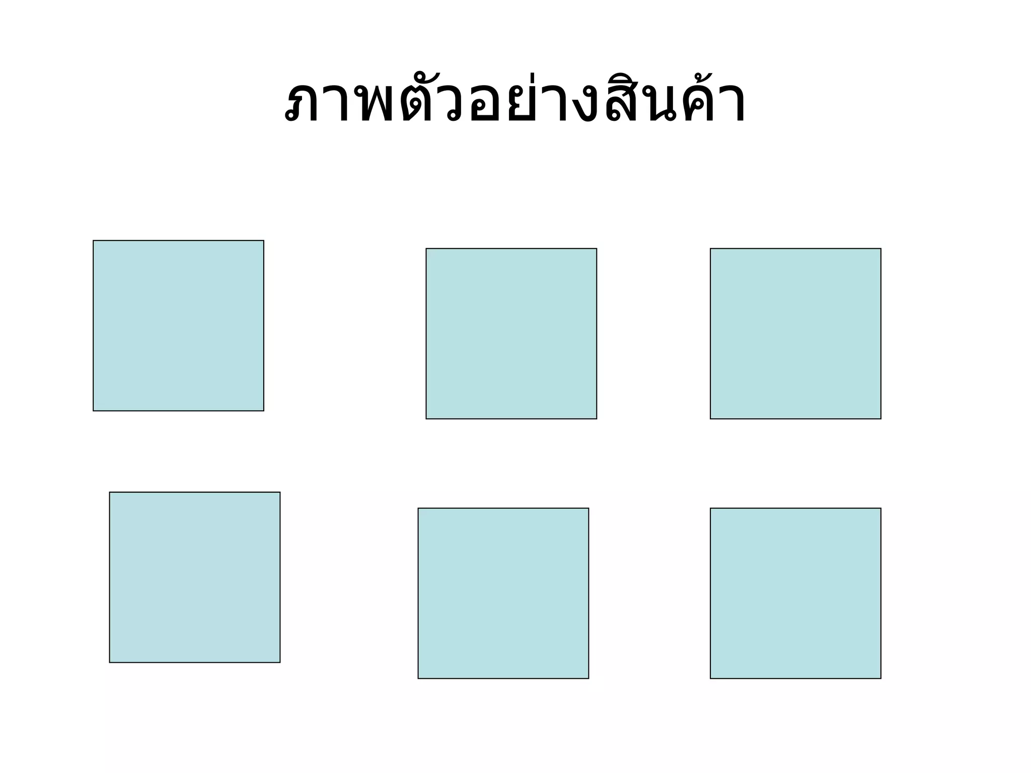 ภาพตัวอย่างสินค้า 
