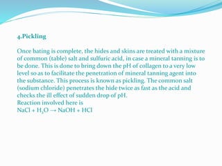 4.Pickling
Once bating is complete, the hides and skins are treated with a mixture
of common (table) salt and sulfuric acid, in case a mineral tanning is to
be done. This is done to bring down the pH of collagen to a very low
level so as to facilitate the penetration of mineral tanning agent into
the substance. This process is known as pickling. The common salt
(sodium chloride) penetrates the hide twice as fast as the acid and
checks the ill effect of sudden drop of pH.
Reaction involved here is
NaCl + H2O → NaOH + HCl
 