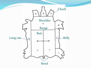 Cheek
Shoulder
Belly
Bend
Butt
Long cut
Range
 