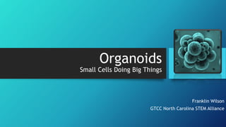 Organoids
Small Cells Doing Big Things
Franklin Wilson
GTCC North Carolina STEM Alliance
 