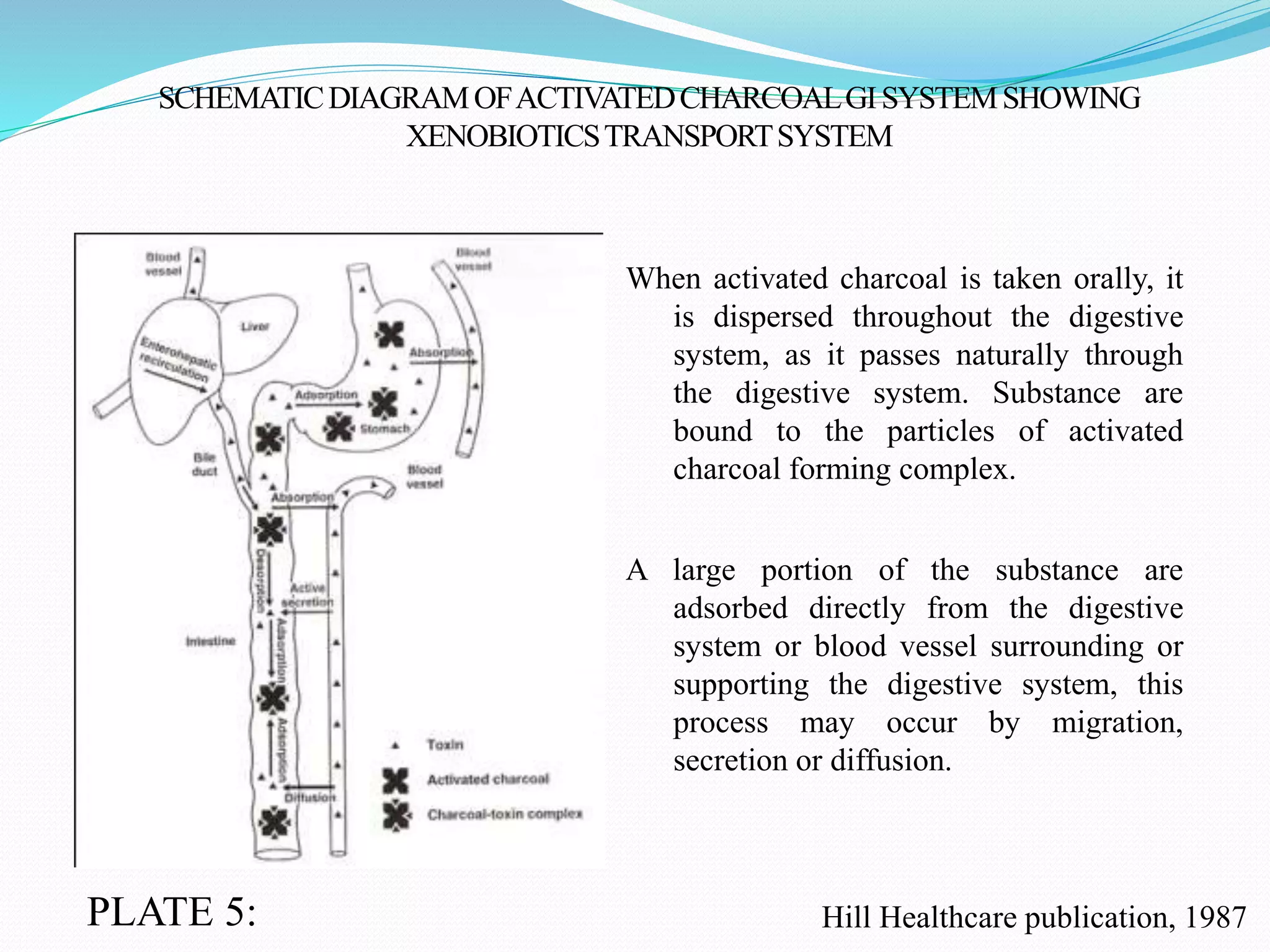 SCHEMATICDIAGRAMOFACTIVATEDCHARCOALGISYSTEMSHOWING
XENOBIOTICSTRANSPORTSYSTEM
Hill Healthcare publication, 1987
When activated charcoal is taken orally, it
is dispersed throughout the digestive
system, as it passes naturally through
the digestive system. Substance are
bound to the particles of activated
charcoal forming complex.
A large portion of the substance are
adsorbed directly from the digestive
system or blood vessel surrounding or
supporting the digestive system, this
process may occur by migration,
secretion or diffusion.
PLATE 5:
 