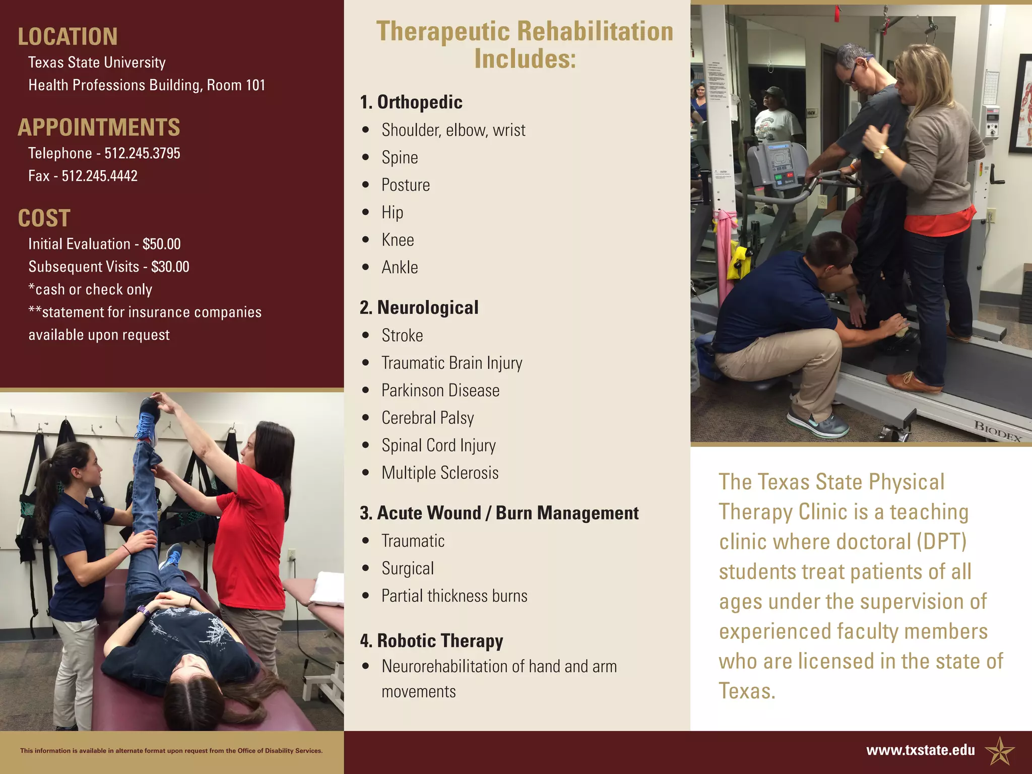 Physical_therapy_brochure | PDF