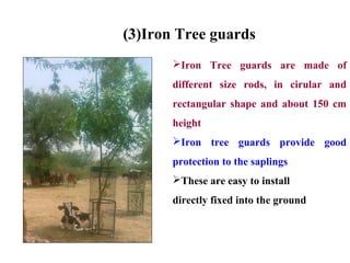Tree sapling plantation and protection | PPT