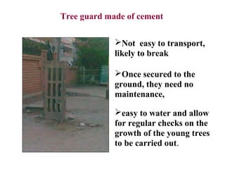 Tree Cmp Protection Tree sapling plantation and protection | PPT