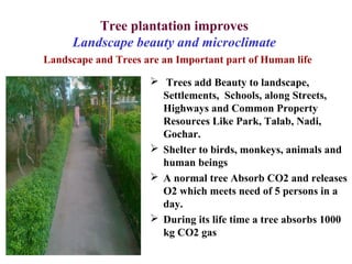 Tree Settlement Tree sapling plantation and protection | PPT