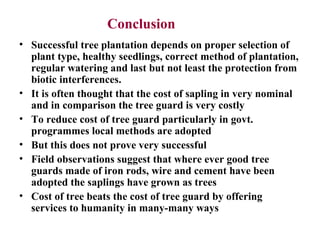 Tree sapling plantation and protection | PPT