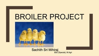 BROILER PROJECT
Sachith Sri Mihiraj
BSc (Special), M.Agri
 