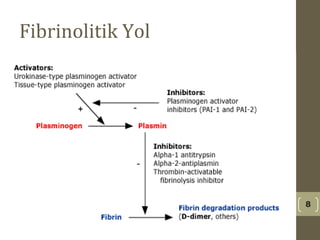 Fibrinolitik Yol
8
 