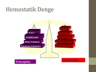 Hemostatik Denge
ATIIIPıhtılaşma Faktörleri
Doku Faktörü
PAI-1
Antiplazmin TFPI
Protein C
Protein S
ProkoagülanProkoagülan
AntikoagülanAntikoagülan
Fibrinolitik Sistem
 