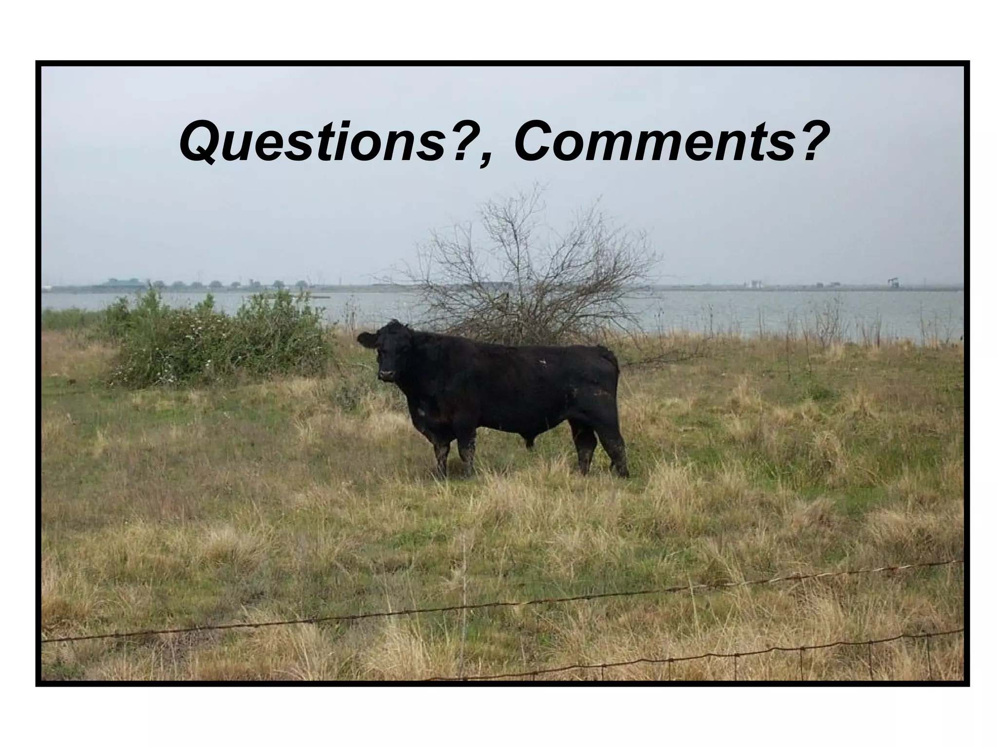 Questions?, Comments?
 