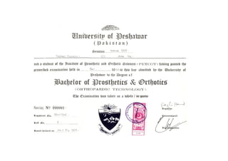 B.Sc Degree Attested | PDF