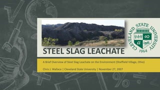 STEEL SLAG LEACHATE
A Brief Overview of Steel Slag Leachate on the Environment (Sheffield Village, Ohio)
Chris J. Wallace | Cleveland State University | November 27, 2007
 