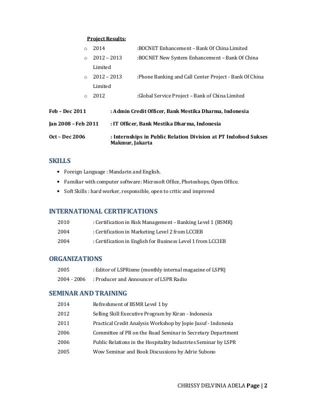 Curriculum Vitae Chrissy