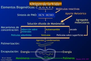 Teorias Modernas sobre el origen de la Vida | ODP