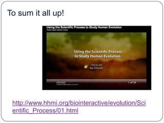 D3 human evolution | PPTX