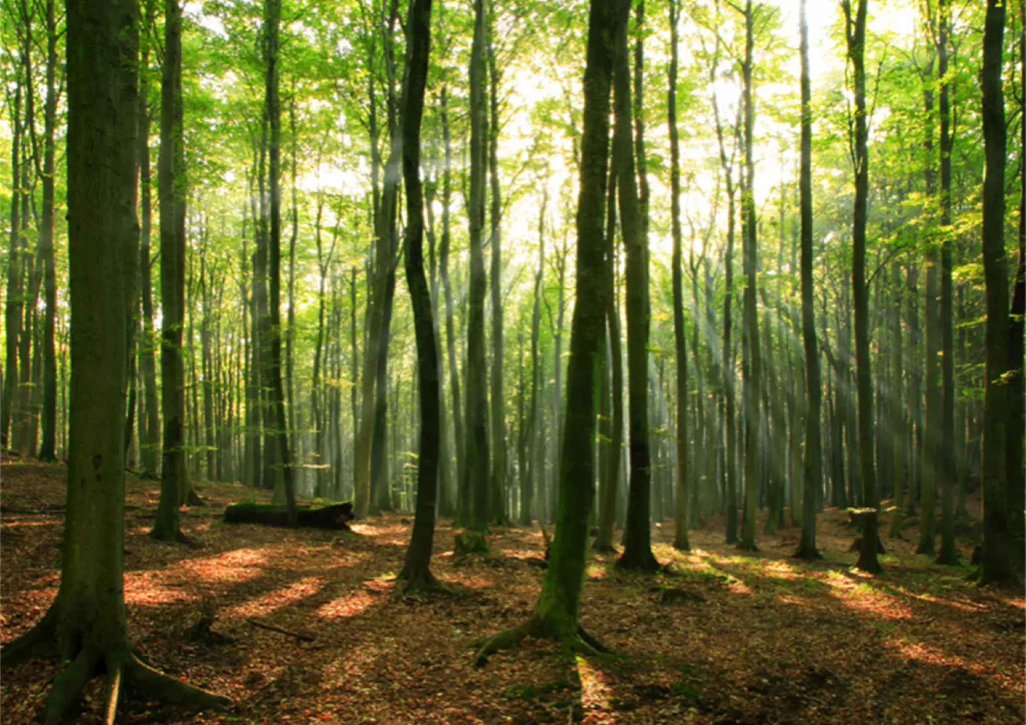 THE DESIGN BEHIND THE DESIGN BEHIND THE DESIGN | 2014 | BY JASON HOBBS | +27 72 260 5478 | JASON@HUMANEXPERIENCEDESIGN.NET | WWW.HUMANEXPERIENCEDESIGN.NET
58
 