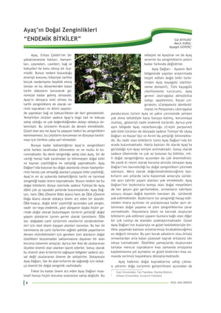 8
1
1
2
1
Gazi Üniversitesi, Fen Fakültesi, Biyoloji Bölümü.
2
-
-
-
-
 