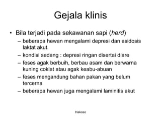 Gejala klinis
• Bila terjadi pada sekawanan sapi (herd)
– beberapa hewan mengalami depresi dan asidosis
laktat akut.
– kondisi sedang : depresi ringan disertai diare
– feses agak berbuih, berbau asam dan berwarna
kuning coklat atau agak keabu-abuan
– feses mengandung bahan pakan yang belum
tercerna
– beberapa hewan juga mengalami laminitis akut
triakoso
 