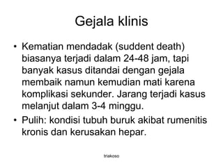 Gejala klinis
• Kematian mendadak (suddent death)
biasanya terjadi dalam 24-48 jam, tapi
banyak kasus ditandai dengan gejala
membaik namun kemudian mati karena
komplikasi sekunder. Jarang terjadi kasus
melanjut dalam 3-4 minggu.
• Pulih: kondisi tubuh buruk akibat rumenitis
kronis dan kerusakan hepar.
triakoso
 