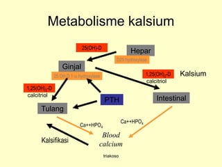 Metabolisme kalsium
PTH
Ginjal
Intestinal
Tulang
Kalsium
Blood
calcium
Hepar25(OH)-D
D25 hydroxylase
25 OH D 1  hydroxylase
Ca++HPO4
Ca++HPO4
Kalsifikasi
1,25(OH)2-D
calcitriol
1,25(OH)2-D
calcitriol
triakoso
 