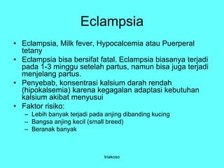 Eclampsia
• Eclampsia, Milk fever, Hypocalcemia atau Puerperal
tetany
• Eclampsia bisa bersifat fatal. Eclampsia biasanya terjadi
pada 1-3 minggu setelah partus, namun bisa juga terjadi
menjelang partus.
• Penyebab, konsentrasi kalsium darah rendah
(hipokalsemia) karena kegagalan adaptasi kebutuhan
kalsium akibat menyusui
• Faktor risiko:
– Lebih banyak terjadi pada anjing dibanding kucing
– Bangsa anjing kecil (small breed)
– Beranak banyak
triakoso
 