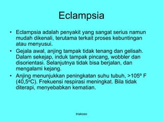 Eclampsia
• Eclampsia adalah penyakit yang sangat serius namun
mudah dikenali, terutama terkait proses kebuntingan
atau menyusui.
• Gejala awal, anjing tampak tidak tenang dan gelisah.
Dalam sekejap, induk tampak pincang, wobbler dan
disorientasi. Selanjutnya tidak bisa berjalan, dan
mengalami kejang.
• Anjing menunjukkan peningkatan suhu tubuh, >105º F
(40,5oC). Frekuensi respirasi meningkat. Bila tidak
diterapi, menyebabkan kematian.
triakoso
 
