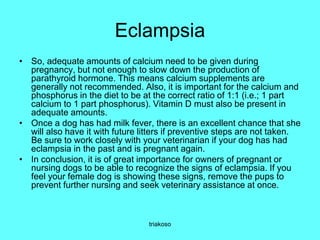 Eclampsia
• So, adequate amounts of calcium need to be given during
pregnancy, but not enough to slow down the production of
parathyroid hormone. This means calcium supplements are
generally not recommended. Also, it is important for the calcium and
phosphorus in the diet to be at the correct ratio of 1:1 (i.e.; 1 part
calcium to 1 part phosphorus). Vitamin D must also be present in
adequate amounts.
• Once a dog has had milk fever, there is an excellent chance that she
will also have it with future litters if preventive steps are not taken.
Be sure to work closely with your veterinarian if your dog has had
eclampsia in the past and is pregnant again.
• In conclusion, it is of great importance for owners of pregnant or
nursing dogs to be able to recognize the signs of eclampsia. If you
feel your female dog is showing these signs, remove the pups to
prevent further nursing and seek veterinary assistance at once.
triakoso
 