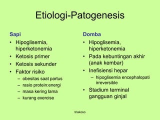 Etiologi-Patogenesis
Sapi
• Hipoglisemia,
hiperketonemia
• Ketosis primer
• Ketosis sekunder
• Faktor risiko
– obesitas saat partus
– rasio protein:energi
– masa kering lama
– kurang exercise
Domba
• Hipoglisemia,
hiperketonemia
• Pada kebuntingan akhir
(anak kembar)
• Inefisiensi hepar
– hipoglisemia encephalopati
irreversible
• Stadium terminal
gangguan ginjal
triakoso
 