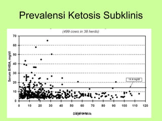 Prevalensi Ketosis Subklinis
triakoso
 