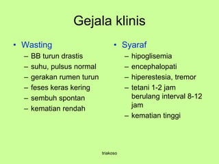 Gejala klinis
• Wasting
– BB turun drastis
– suhu, pulsus normal
– gerakan rumen turun
– feses keras kering
– sembuh spontan
– kematian rendah
• Syaraf
– hipoglisemia
– encephalopati
– hiperestesia, tremor
– tetani 1-2 jam
berulang interval 8-12
jam
– kematian tinggi
triakoso
 