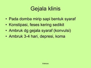 Gejala klinis
• Pada domba mirip sapi bentuk syaraf
• Konstipasi, feses kering sedikit
• Ambruk dg gejala syaraf (konvulsi)
• Ambruk 3-4 hari, depresi, koma
triakoso
 