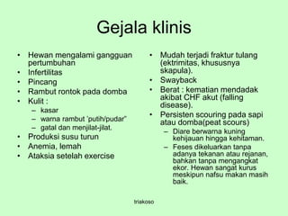 Gejala klinis
• Hewan mengalami gangguan
pertumbuhan
• Infertilitas
• Pincang
• Rambut rontok pada domba
• Kulit :
– kasar
– warna rambut ’putih/pudar”
– gatal dan menjilat-jilat.
• Produksi susu turun
• Anemia, lemah
• Ataksia setelah exercise
• Mudah terjadi fraktur tulang
(ektrimitas, khususnya
skapula).
• Swayback
• Berat : kematian mendadak
akibat CHF akut (falling
disease).
• Persisten scouring pada sapi
atau domba(peat scours)
– Diare berwarna kuning
kehijauan hingga kehitaman.
– Feses dikeluarkan tanpa
adanya tekanan atau rejanan,
bahkan tanpa mengangkat
ekor. Hewan sangat kurus
meskipun nafsu makan masih
baik.
triakoso
 
