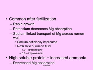 • Common after fertilization
– Rapid growth
– Potassium decreases Mg absorption
– Sodium linked transport of Mg across rumen
wall
• Sodium deficiency implicated
• Na:K ratio of rumen fluid
– 1.0 – grass tetany
– 5.0 – improvement
• High soluble protein = increased ammonia
– Decreased Mg absorption
triakoso
 