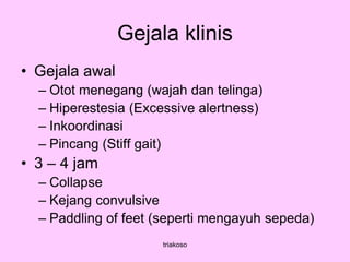 Gejala klinis
• Gejala awal
– Otot menegang (wajah dan telinga)
– Hiperestesia (Excessive alertness)
– Inkoordinasi
– Pincang (Stiff gait)
• 3 – 4 jam
– Collapse
– Kejang convulsive
– Paddling of feet (seperti mengayuh sepeda)
triakoso
 
