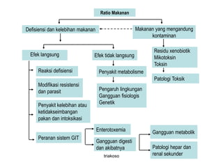 Enterotoxemia
Gangguan digesti
dan akibatnya
Defisiensi dan kelebihan makanan
Ratio Makanan
Makanan yang mengandung
kontaminan
Residu xenobiotik
Mikotoksin
Toksin
Patologi Toksik
Efek langsung Efek tidak langsung
Reaksi defisiensi
Modifikasi resistensi
dan parasit
Penyakit kelebihan atau
ketidakseimbangan
pakan dan intoksikasi
Pengaruh lingkungan
Gangguan fisiologis
Genetik
Penyakit metabolisme
Peranan sistem GIT
Gangguan metabolik
Patologi hepar dan
renal sekundertriakoso
 