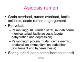 Asidosis rumen
• Grain overload, rumen overload, lactic
acidosis, acute rumen engorgement
• Penyebab:
– Pakan tinggi KH rendah serat, mudah cerna
memicu terjadi lactic acidosis (acute
dehydration and depression)
– Pakan tinggi protein mudah cerna memicu
produksi ion ammonium ion berlebihan
(excitement and hyperesthesia)
• Sering terjadi pada pemeliharaan intensif
triakoso
 